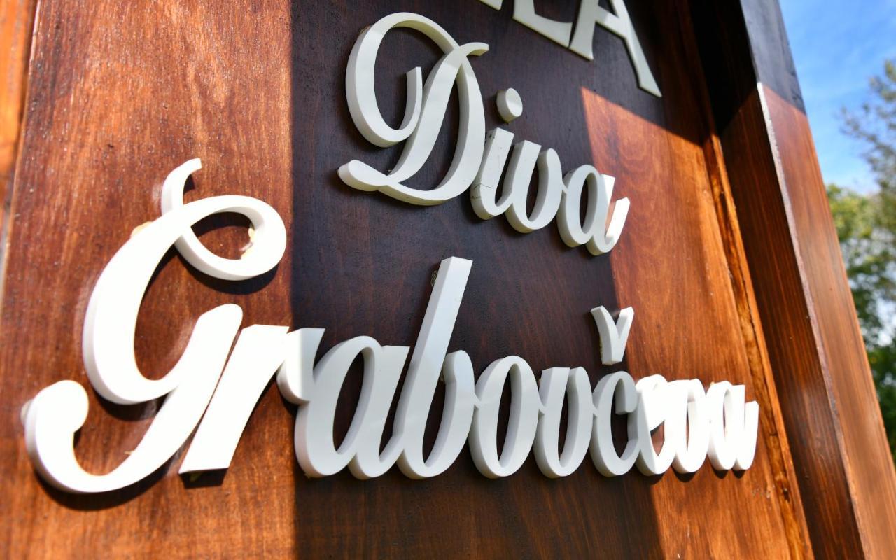 רקוביצה Villa Diva Grabovceva מראה חיצוני תמונה